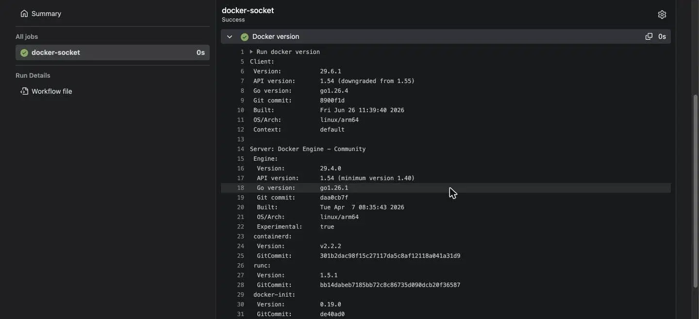 The docker-socket job log showing docker version reaching the host daemon